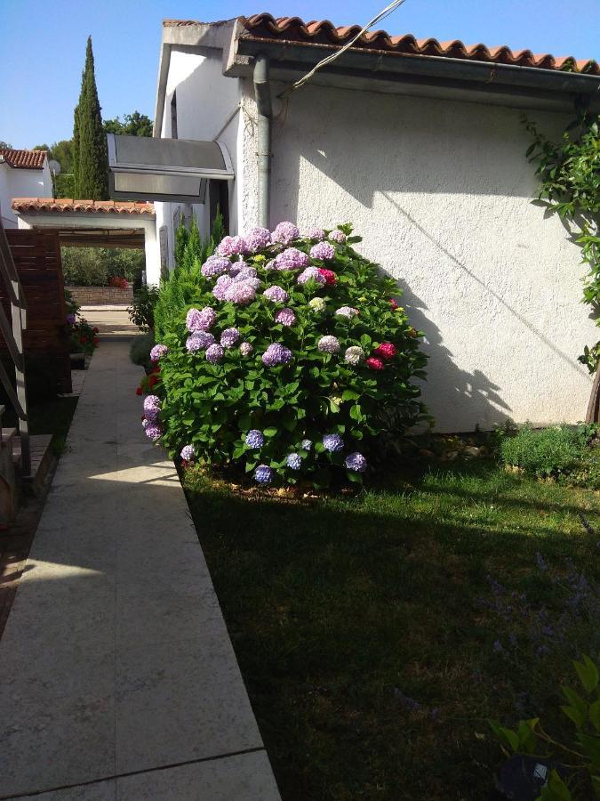 Apartment Nebo Poreč Buitenkant foto